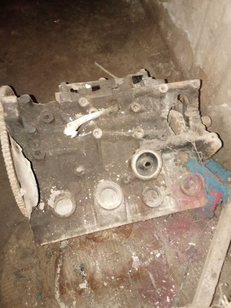 dwitel 1 000 TMT - Гороглы (Тагта) - img 1