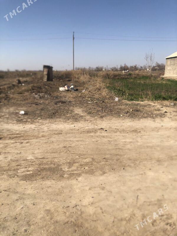 satlyk mellek jay - Türkmengala - img 1