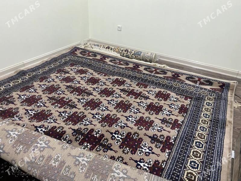 Haly - Ашхабад - img 1