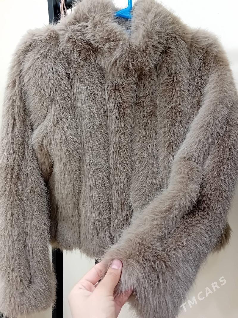 şuba - Balkanabat - img 1