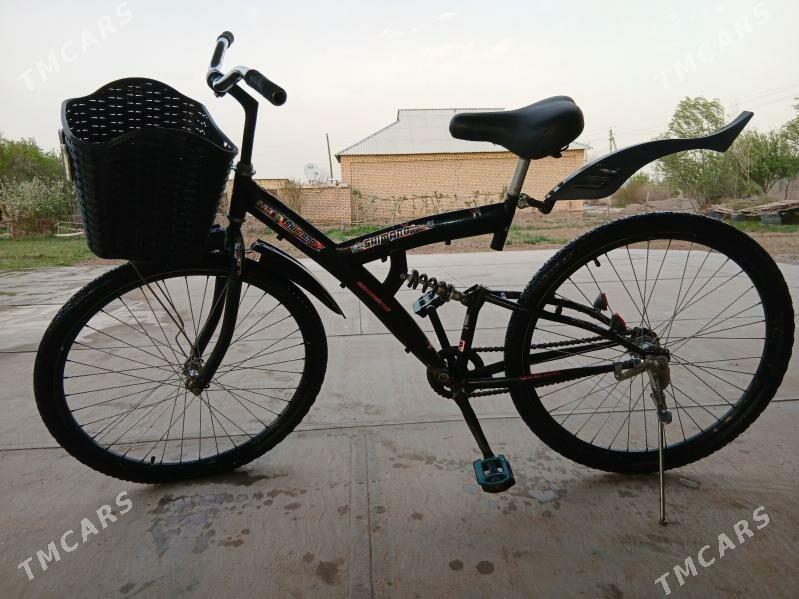 Welik - Türkmengala - img 1