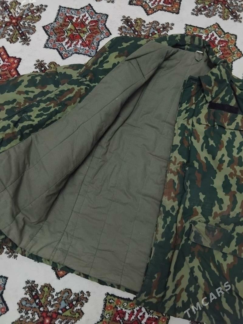 paltp - Büzmeýin - img 1