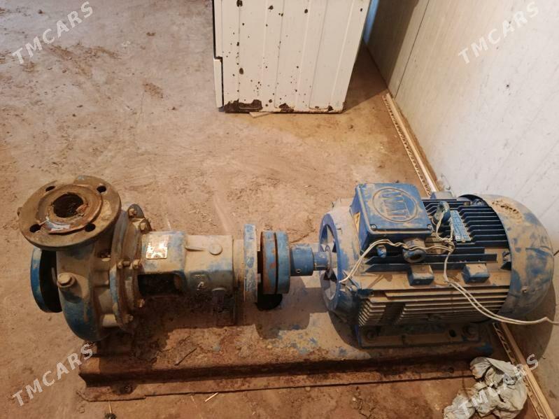 Elektro nasos - Ашхабад - img 1