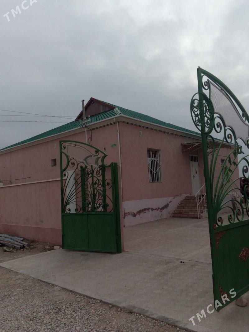 Turkmen jay - Balkanabat - img 1