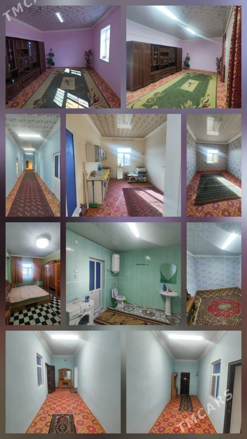 satlyk jay - Seýdi - img 1