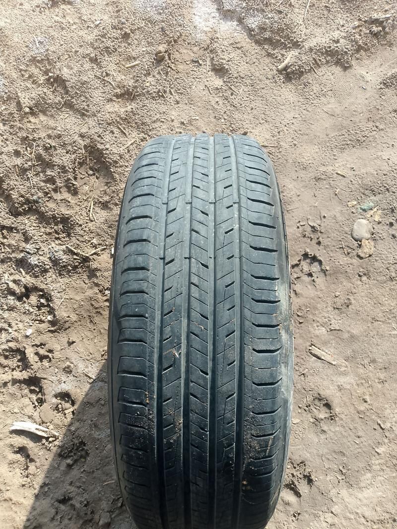 teker 500 TMT - Sakarçäge - img 1