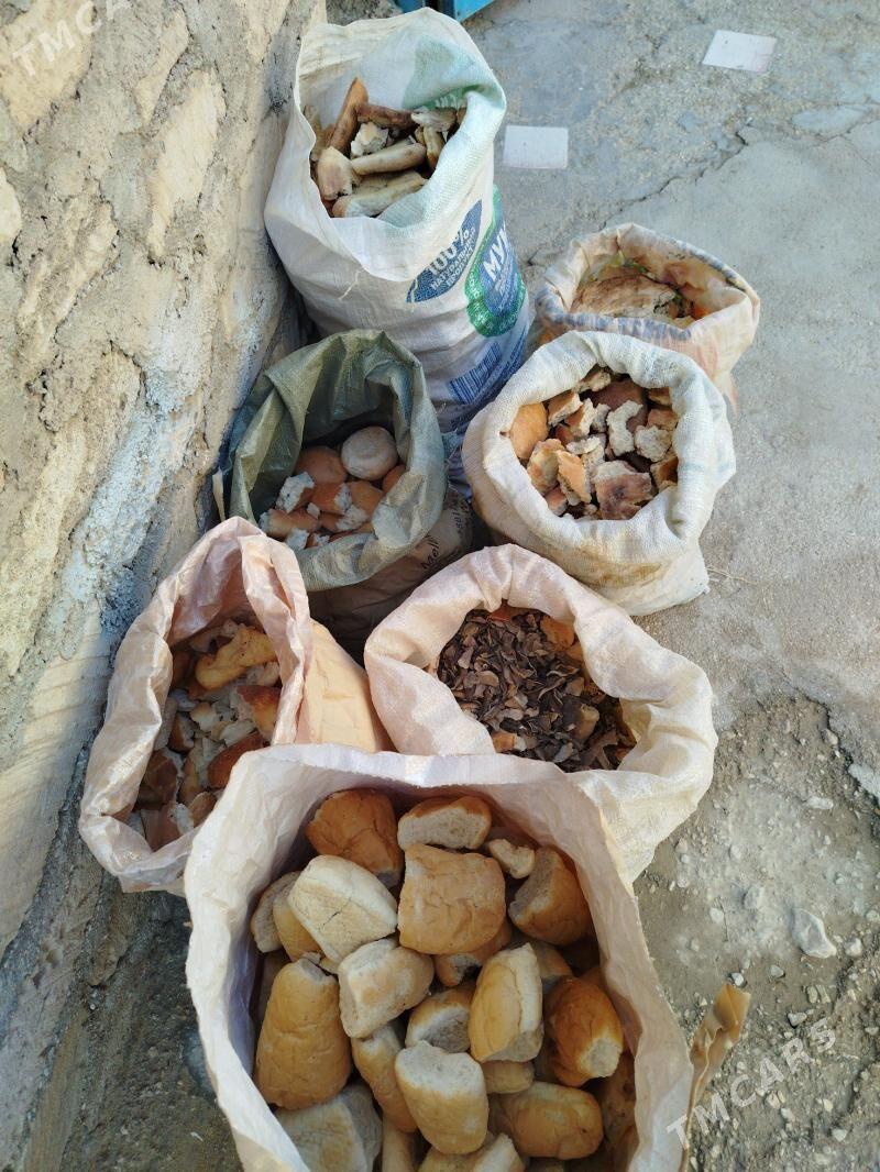 Gaty çörek - Balkanabat - img 1