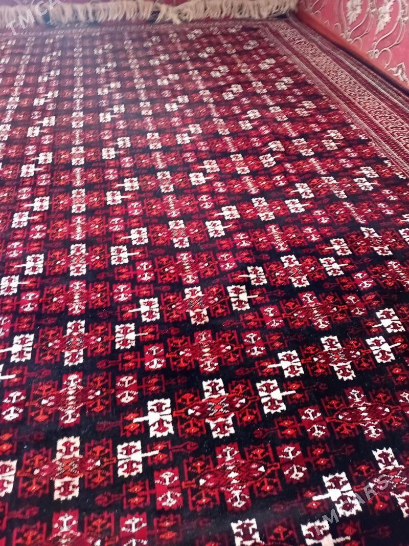 El haly - Теджен - img 1