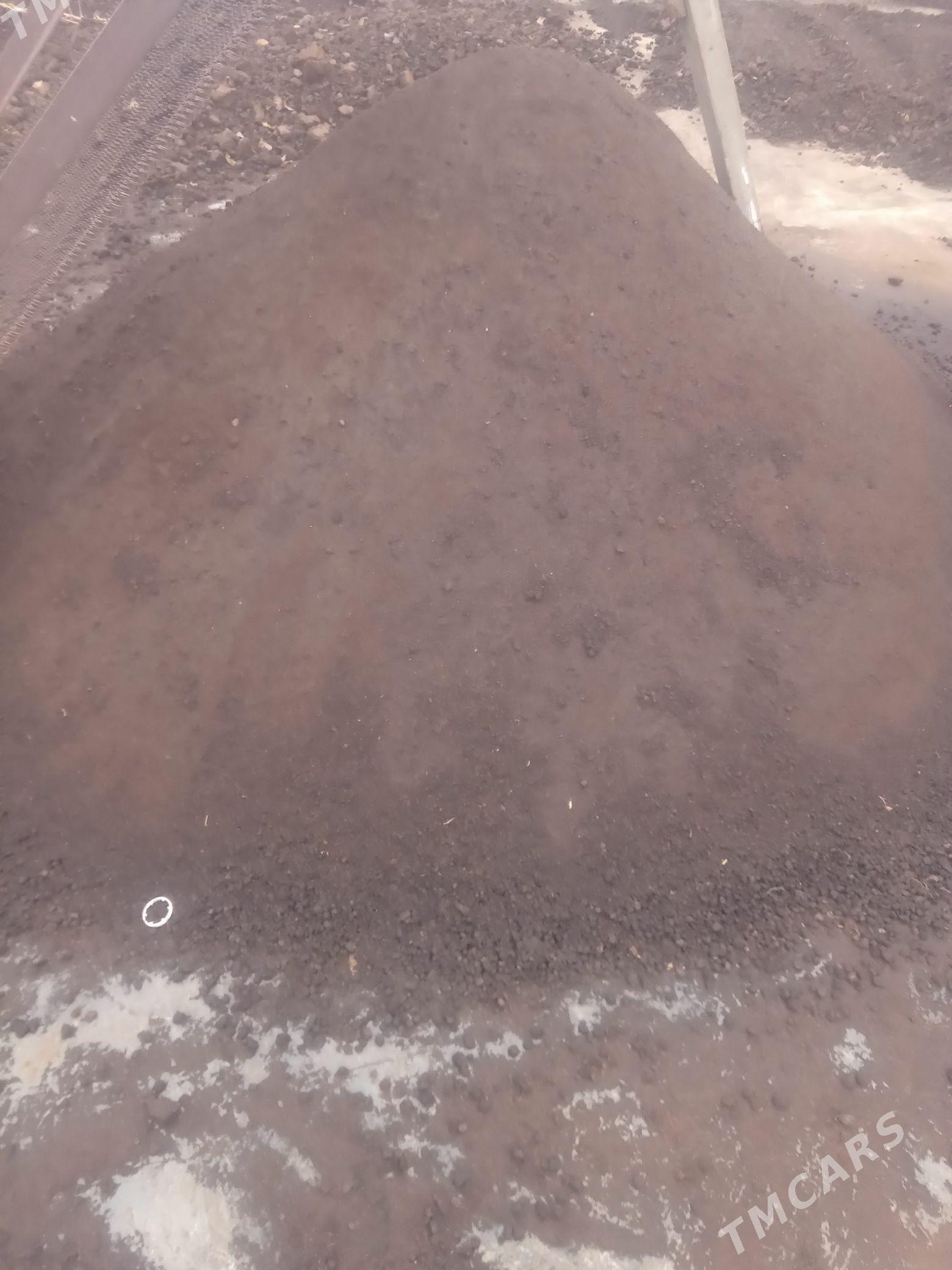 deris arssa - Ашхабад - img 1