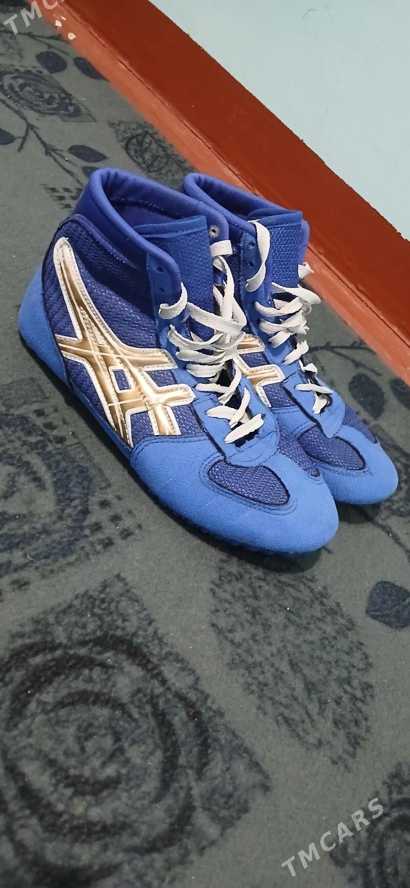 Barsofka - Гурбансолтан Едже - img 1