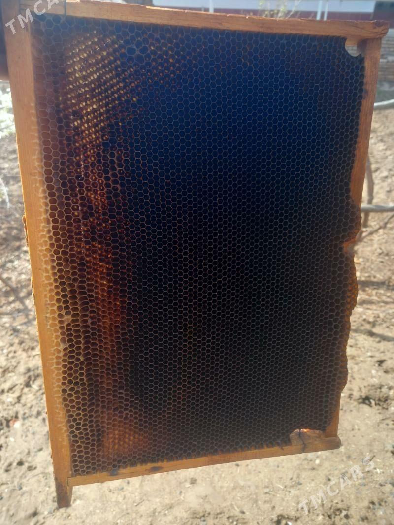 balary ramka - Дашогуз - img 1