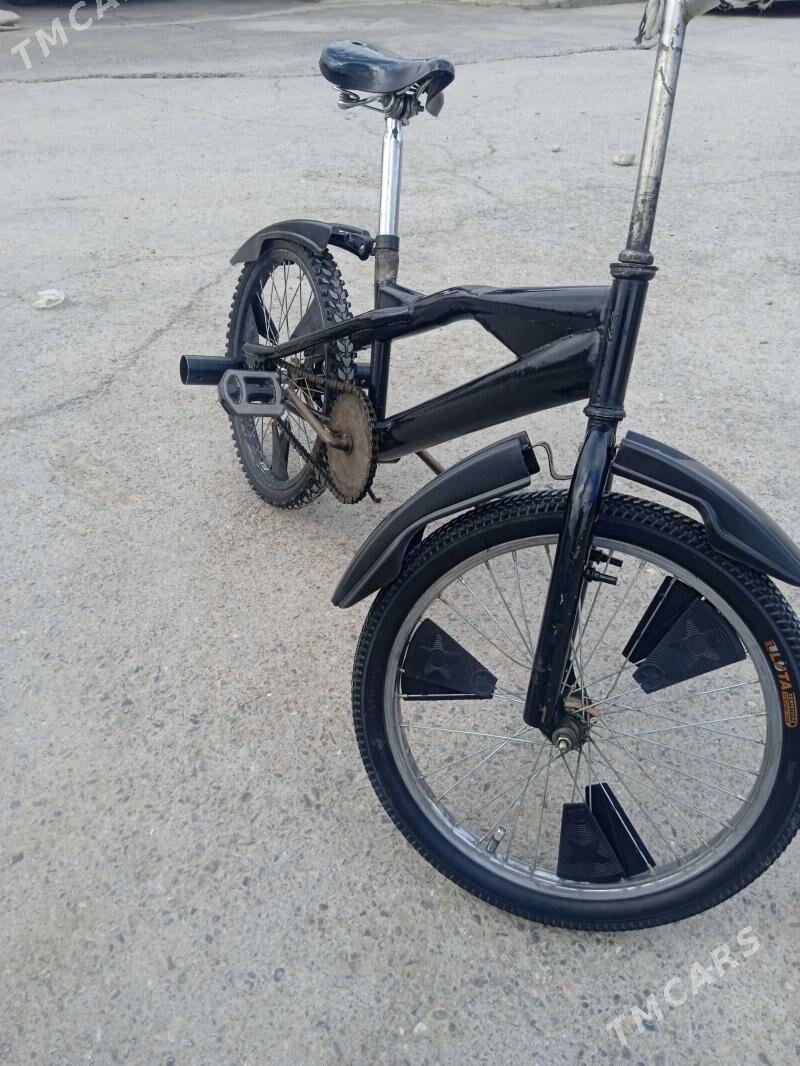 Tigir - Büzmeýin - img 1