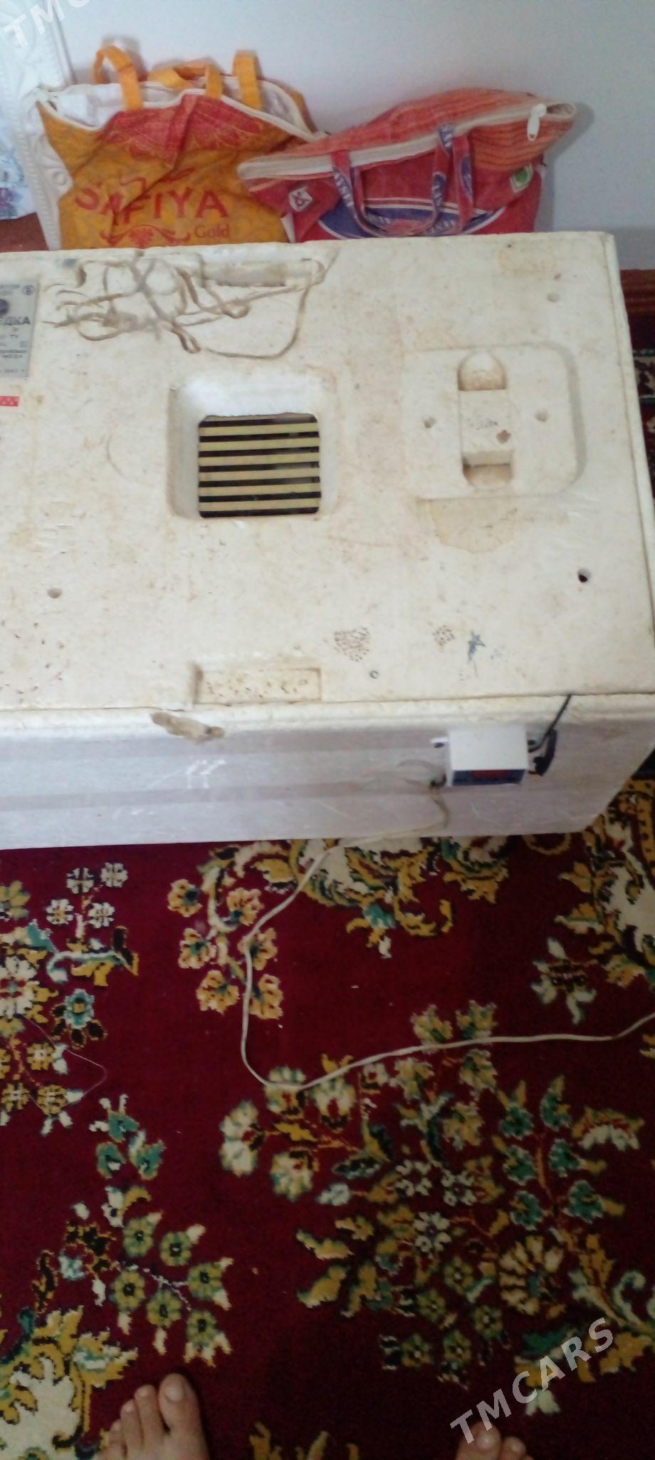 енкиватир орсинки - Анев - img 1