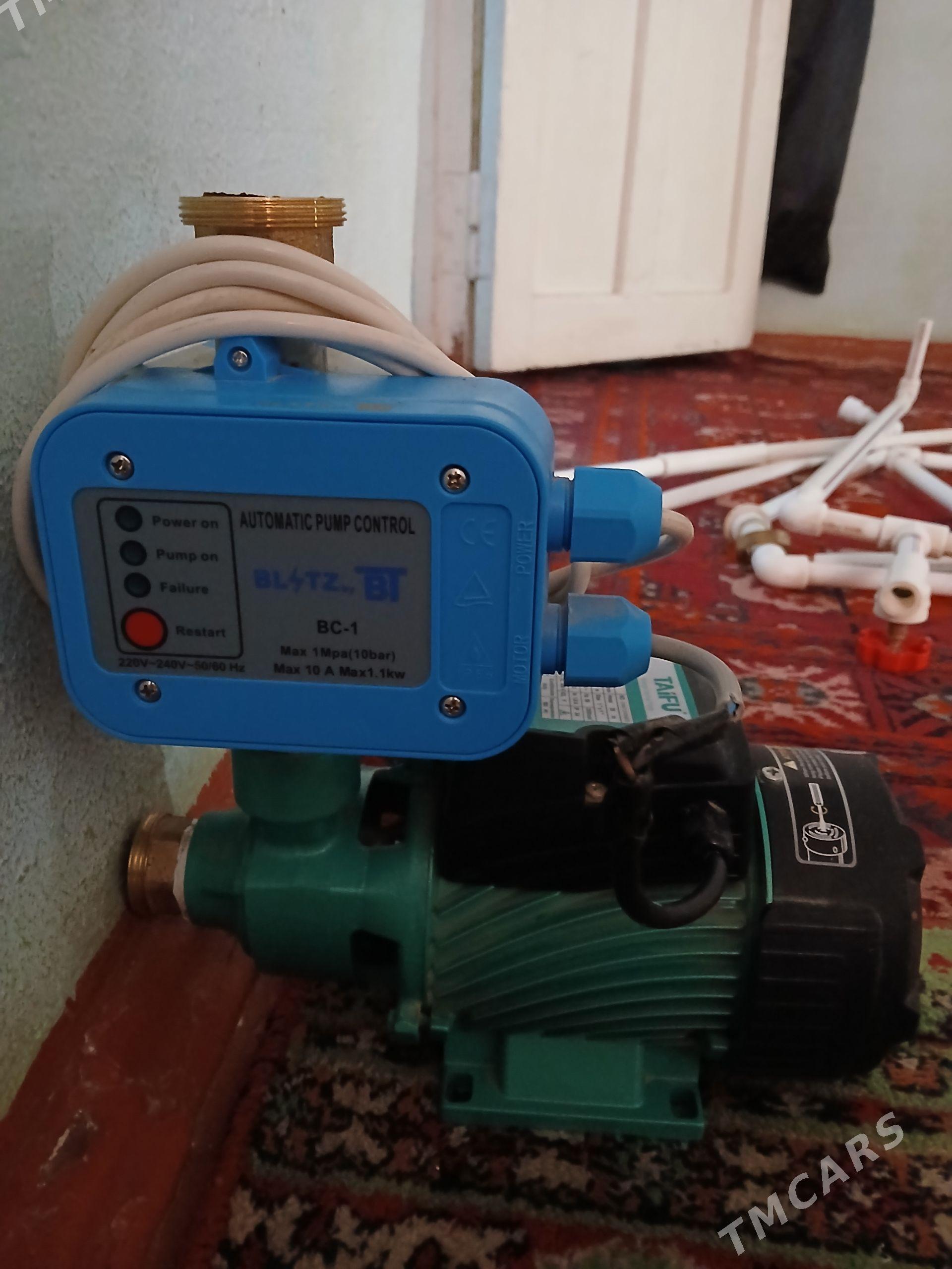 Nasos-wakum - Mary - img 1