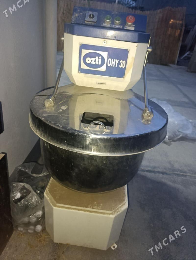 Hamyr garýan meşalka - Бедев - img 1