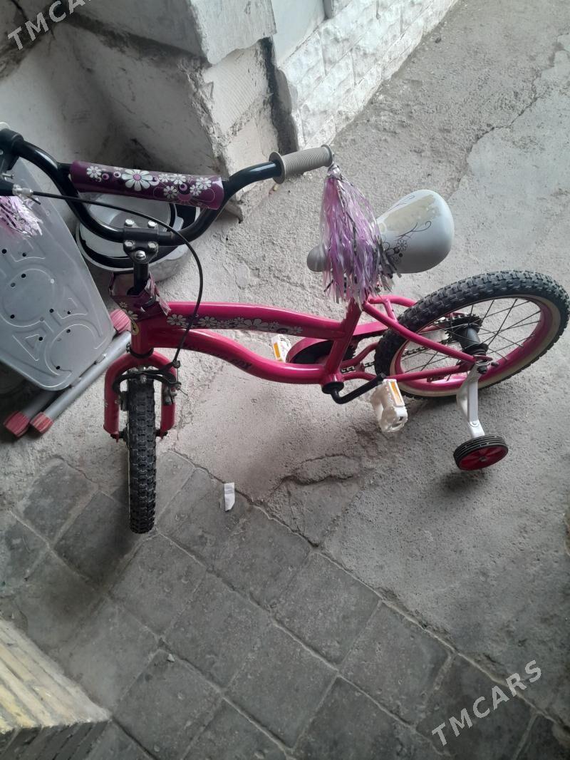 Welsepet - Türkmenbaşy - img 1