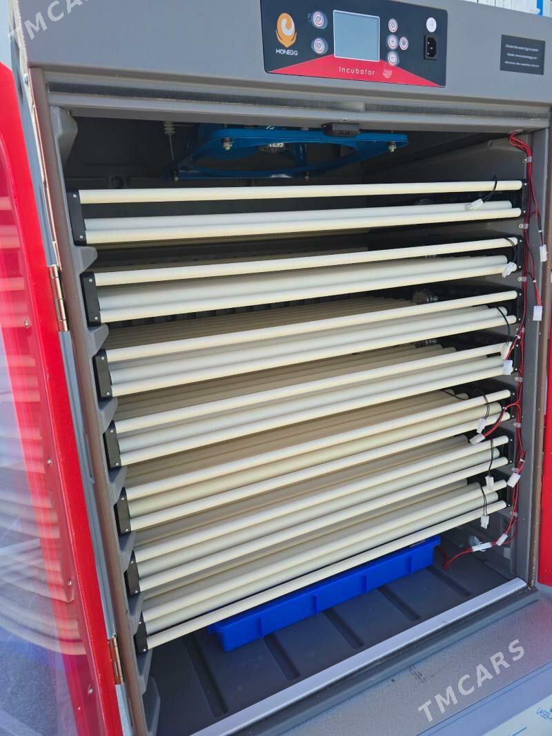 inkubatyr 1000yumutga - Туркменабат - img 1