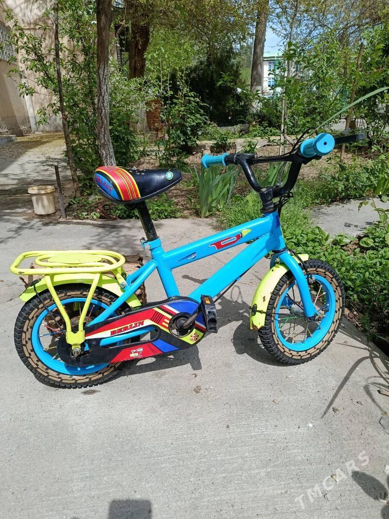 tigir çagalaryňky - Kim raýon - img 1