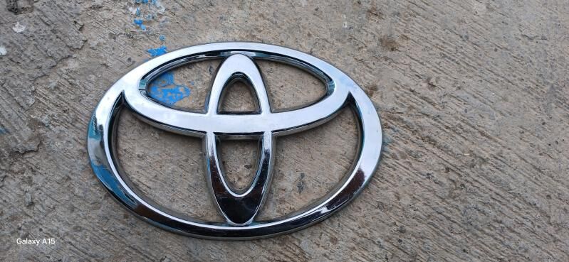 Embilema 100 TMT - Ак-Бугдайский этрап - img 1