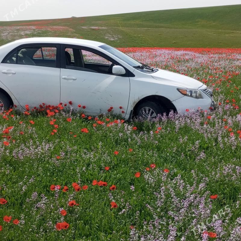 Toyota Corolla 2011 - 160 000 TMT - Тагтабазар - img 1