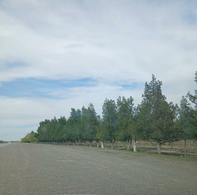 önümçülik üçin ýer - Bäherden - img 1