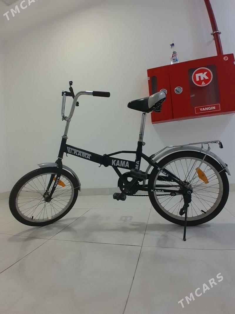 Kama tigir - Аркадаг - img 1