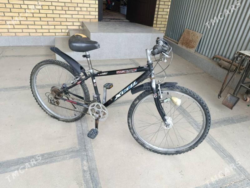 velosipet, tigir - Mary - img 1