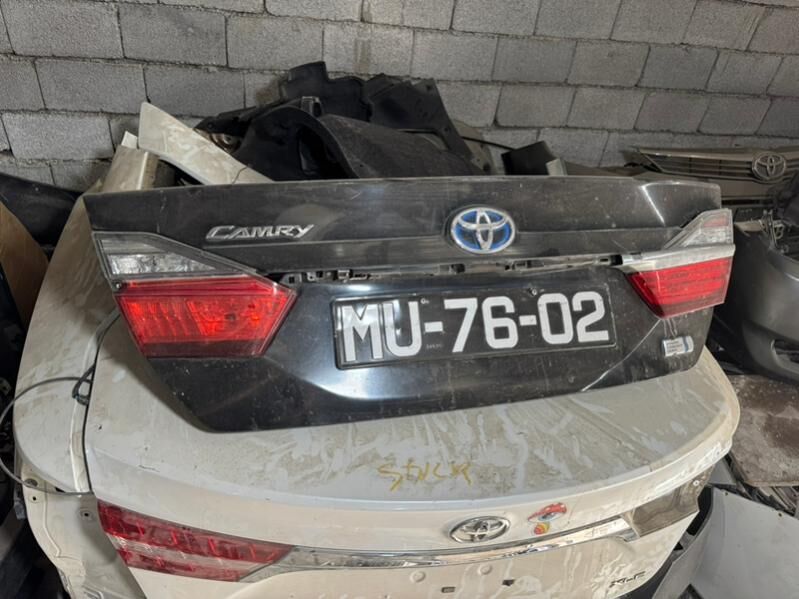 Aurion 2016 bagaz 5 000 TMT - Bedew - img 1