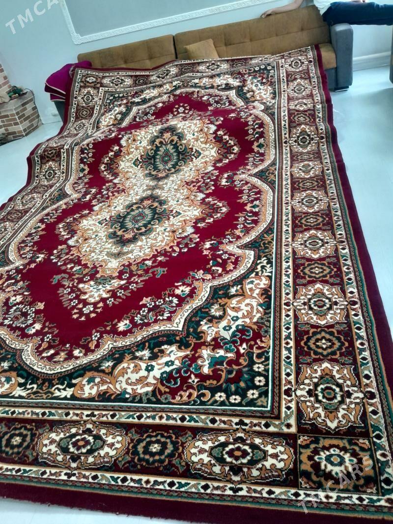 Haly - Бузмеин - img 1