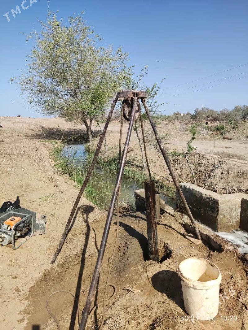 Nasos kakyas - Sakar - img 1