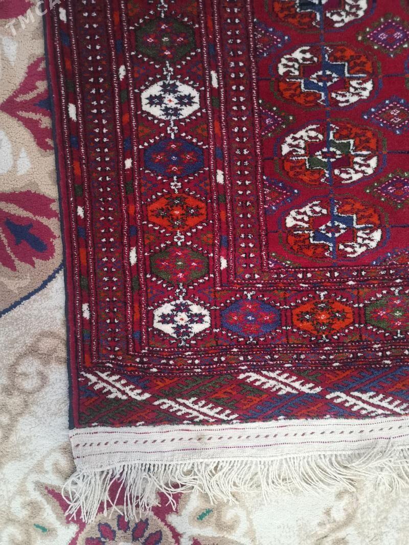 Gadym el haly - Кака - img 1