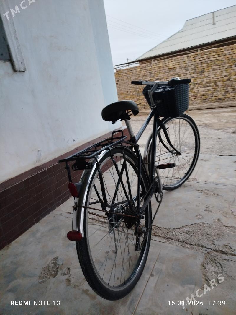 welsewit 28 lik 7 skor - Mary - img 1