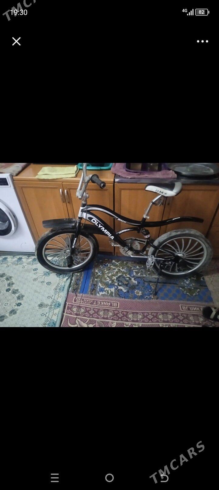 tigir - Gökdepe - img 1