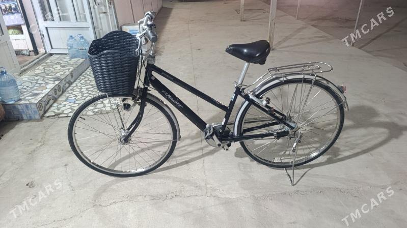 BRISTONE 27 LYK ALBERT - Керки - img 1