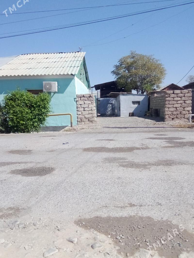 Jay satlyk - Ak bugdaý etraby - img 1