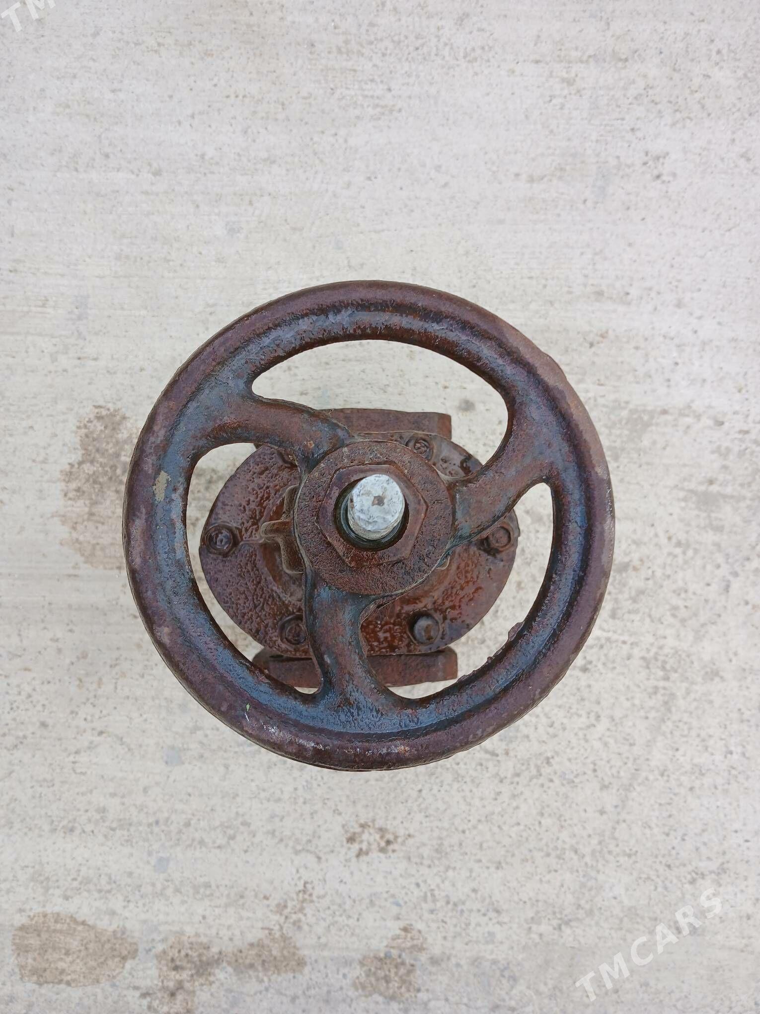 Zadwyska - Багир - img 1