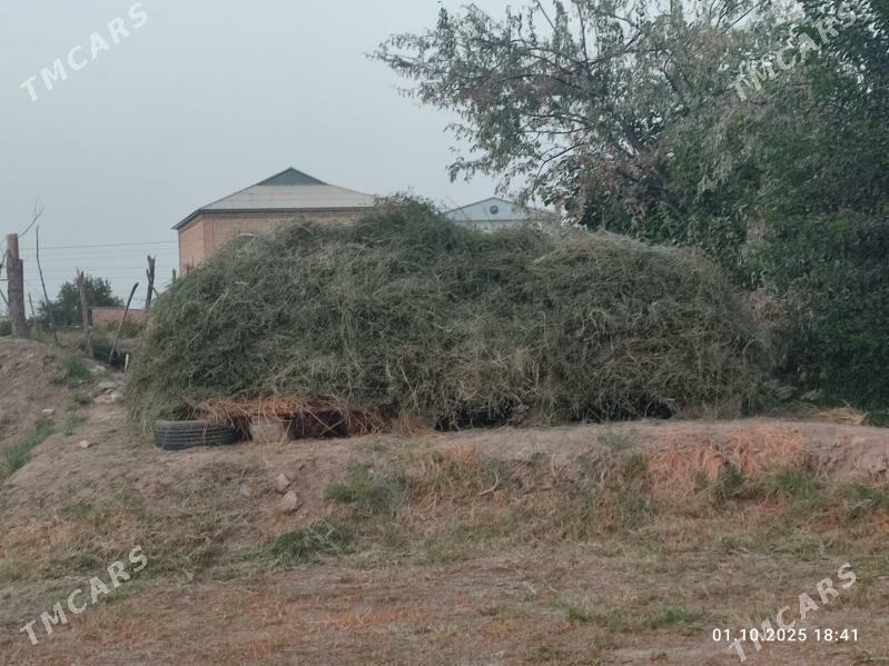 Ёрунжа. - Мары - img 1