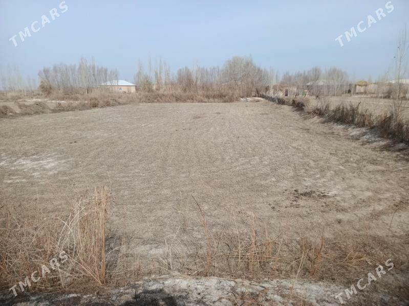 Gubadag - Губадаг - img 1