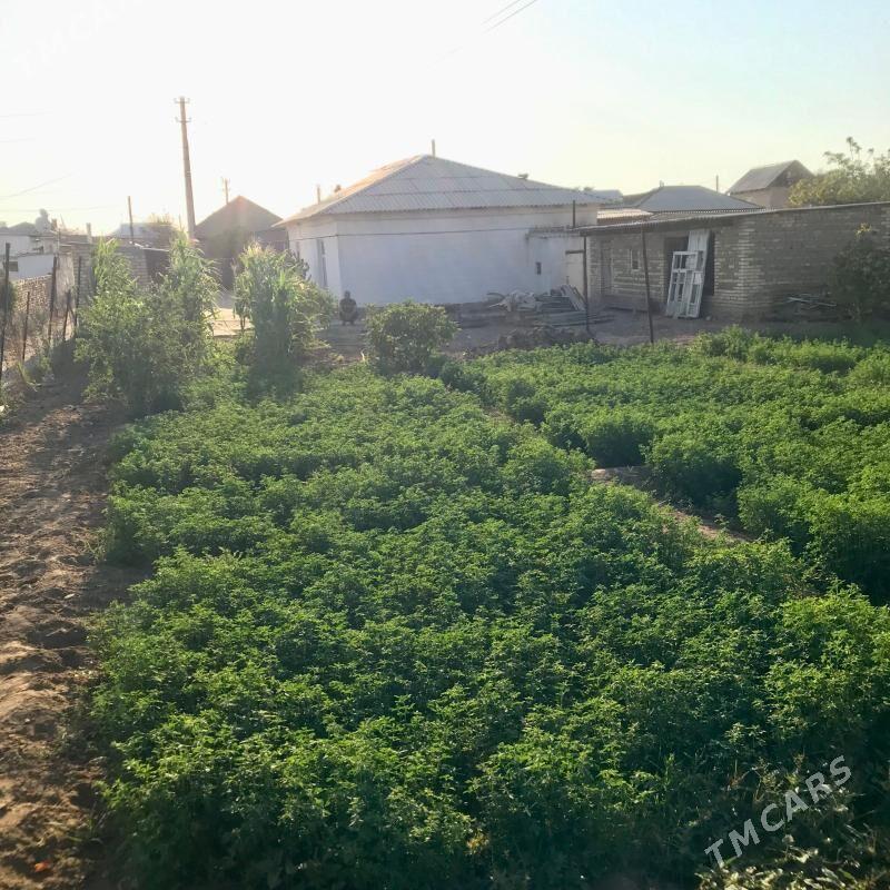 gyssagly satlyk jaý - Ёлётен - img 1