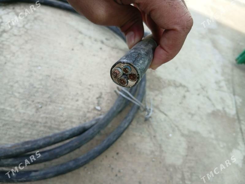 Tok sim - Бахарден - img 1