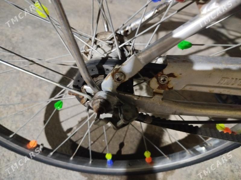 welsopet - Саят - img 1