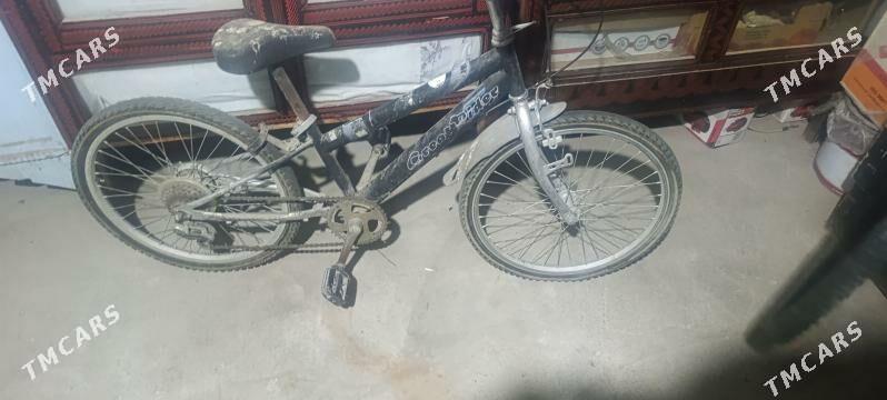 Tiger - Büzmeýin - img 1