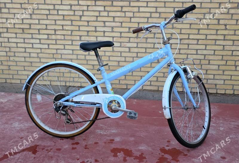 welik Tigir 22lik JAPAN - Мары - img 1