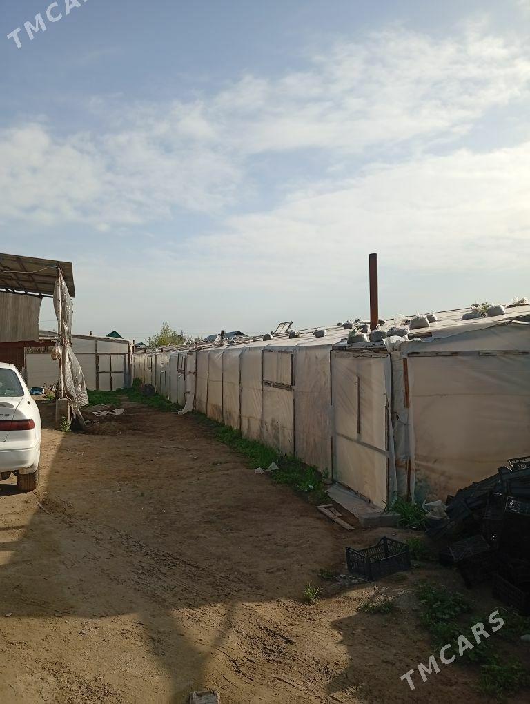 Satlyk yer - Тязе заман - img 1