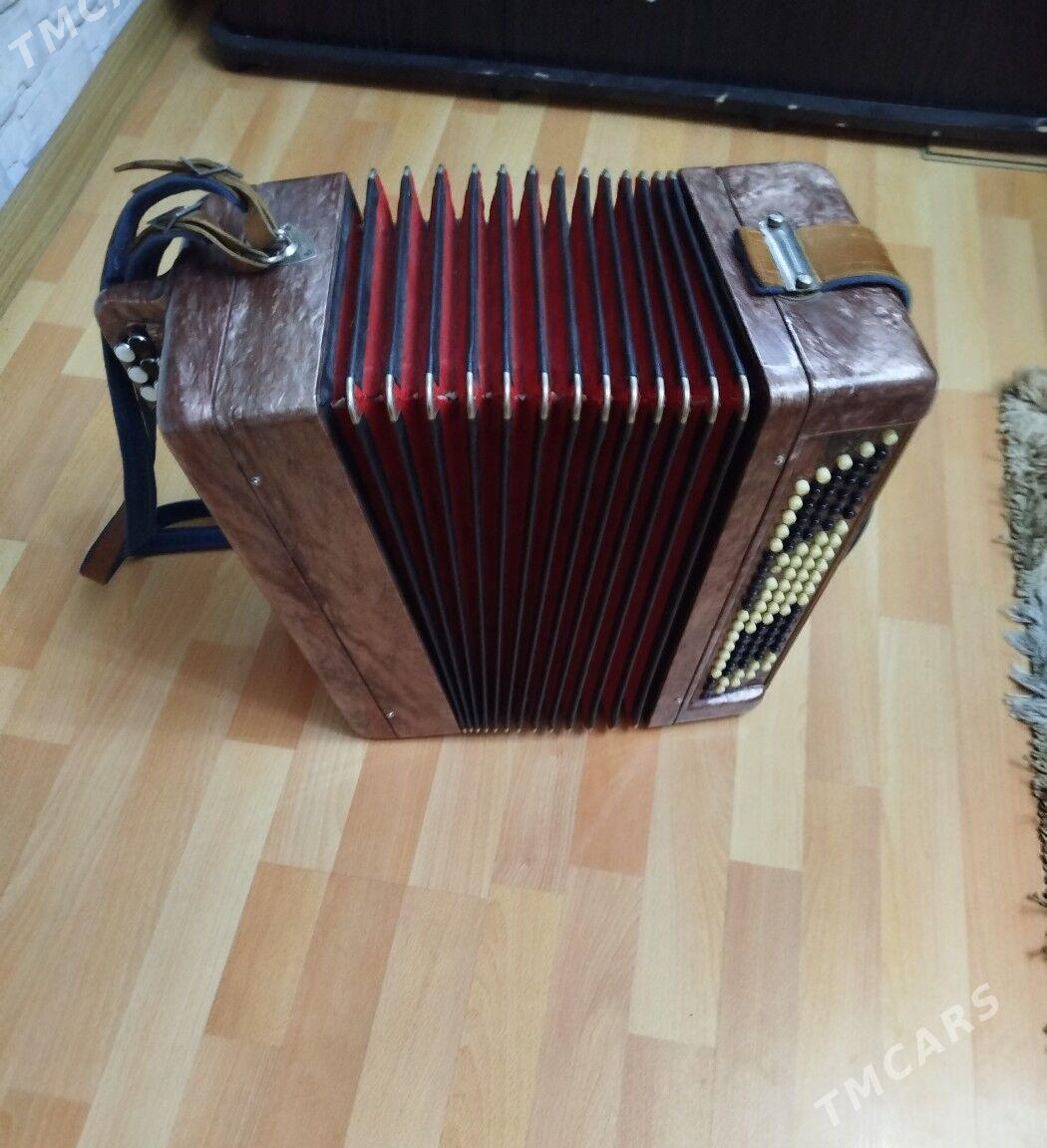 Баян - Туркменабат - img 1