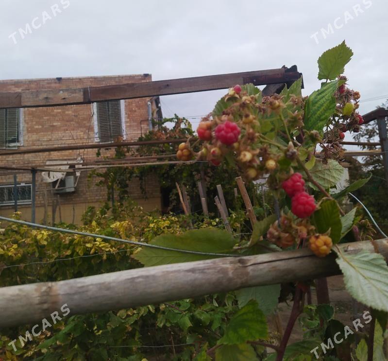 дача аэропорт - Туркменабат - img 1