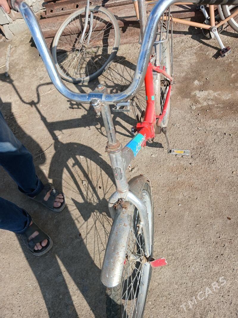 wellik - Bereket - img 1