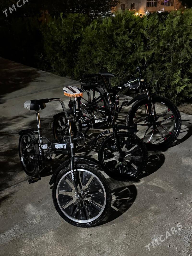 Kama tigir - Aşgabat - img 1