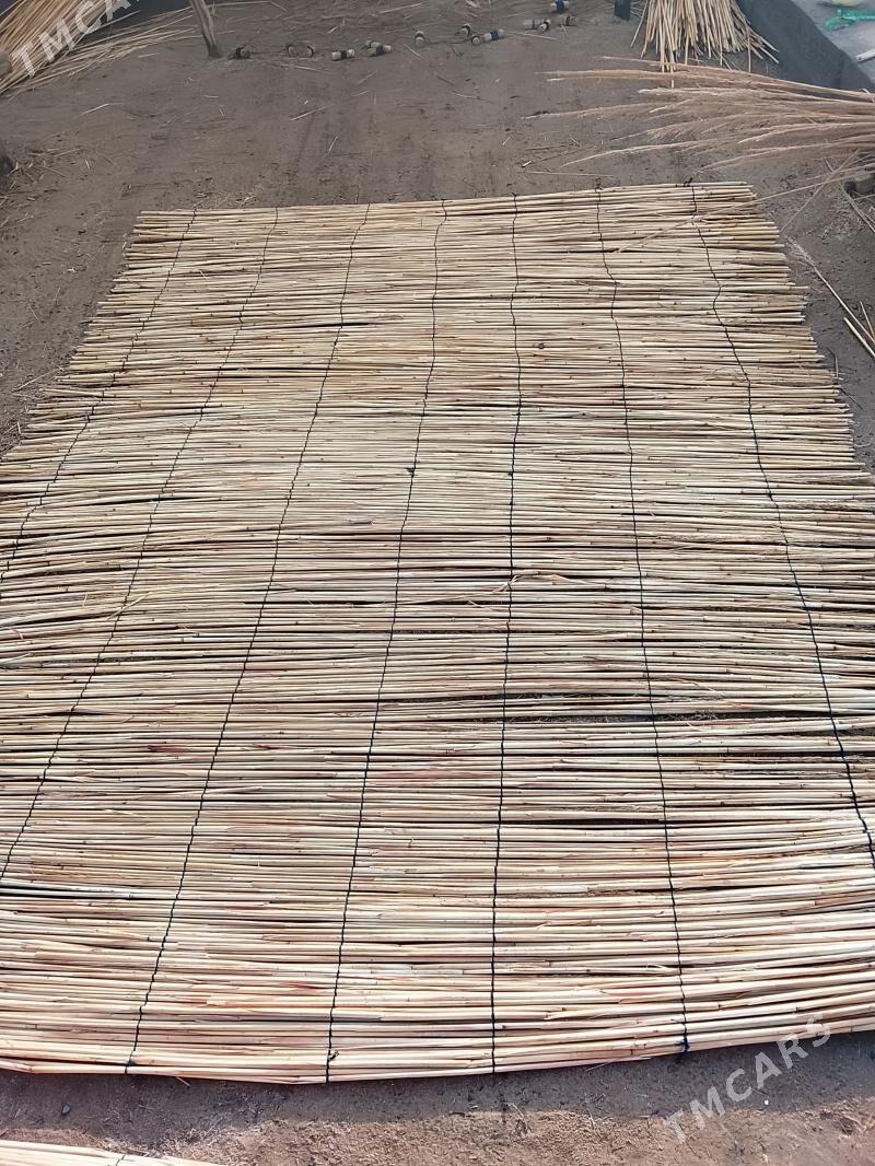 Gamyş - Mary - img 1