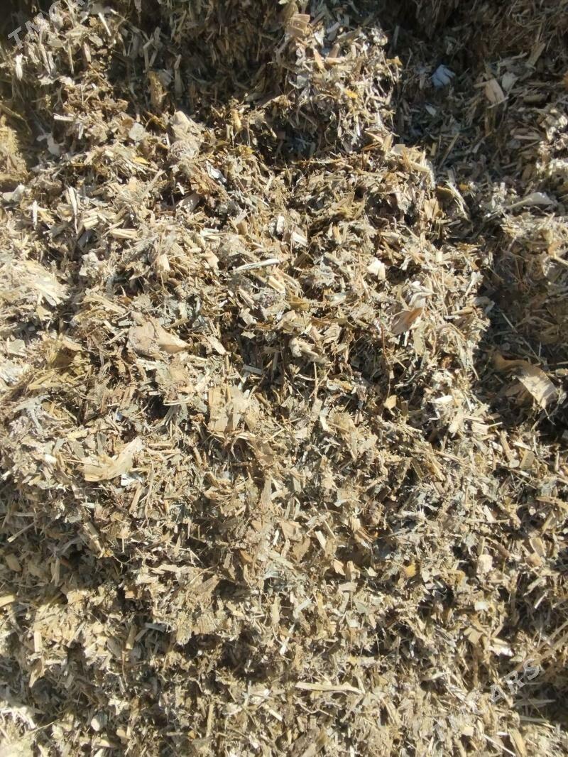 Mekge Slos - Büzmeýin - img 1